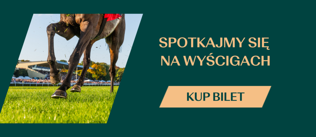 bilety na wyścigi