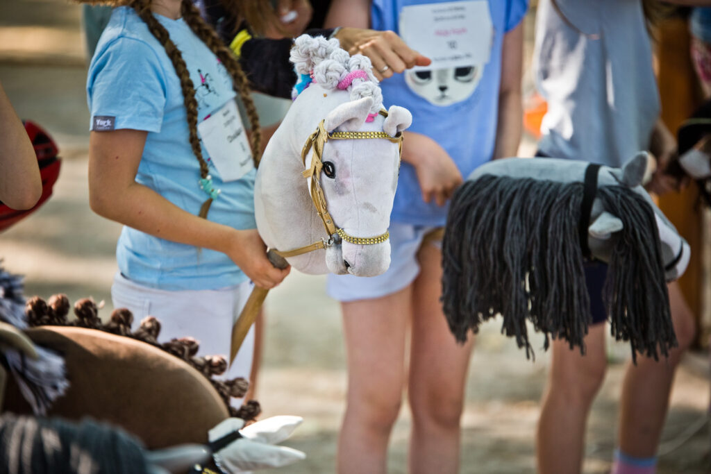 Liga Hobby Horse