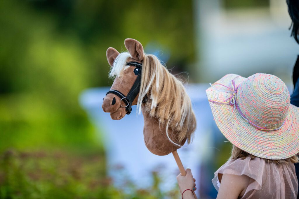 Liga Hobby Horse