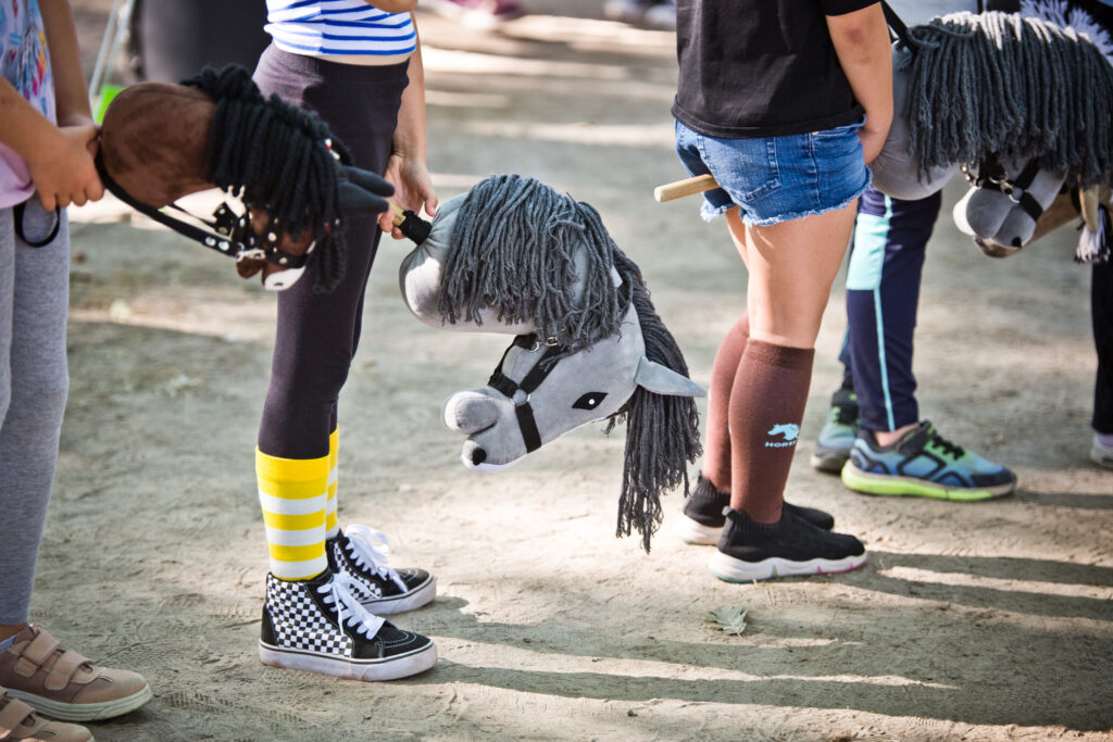 Liga Hobby Horse