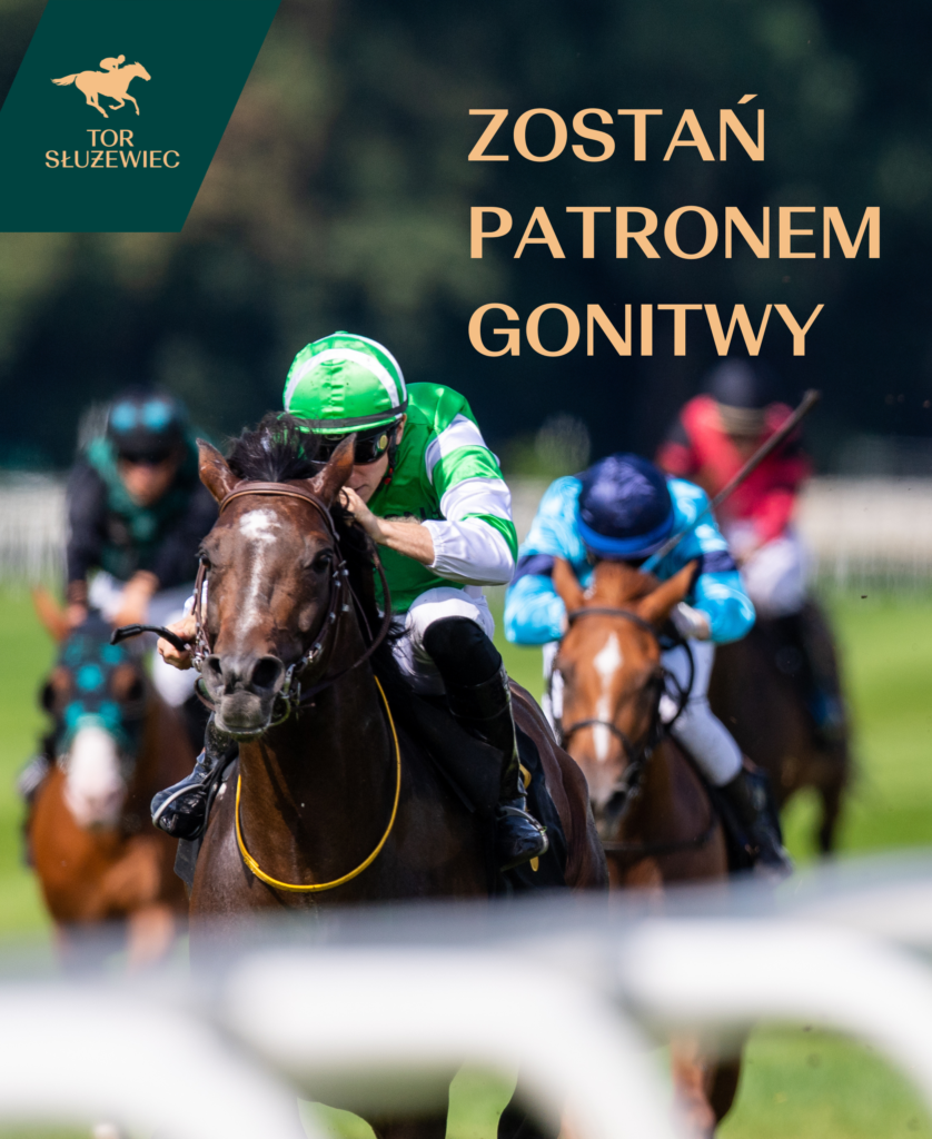 PATRONAT GONITWY