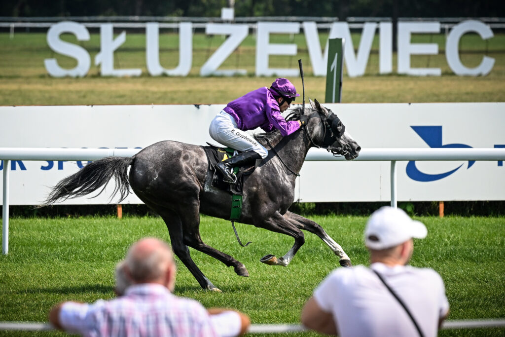 Dzień Arabski na Torze Służewiec